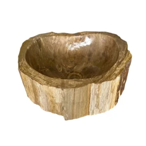 Chiuvetă din lemn pietrificat - artă naturală unică nr. FS00112
