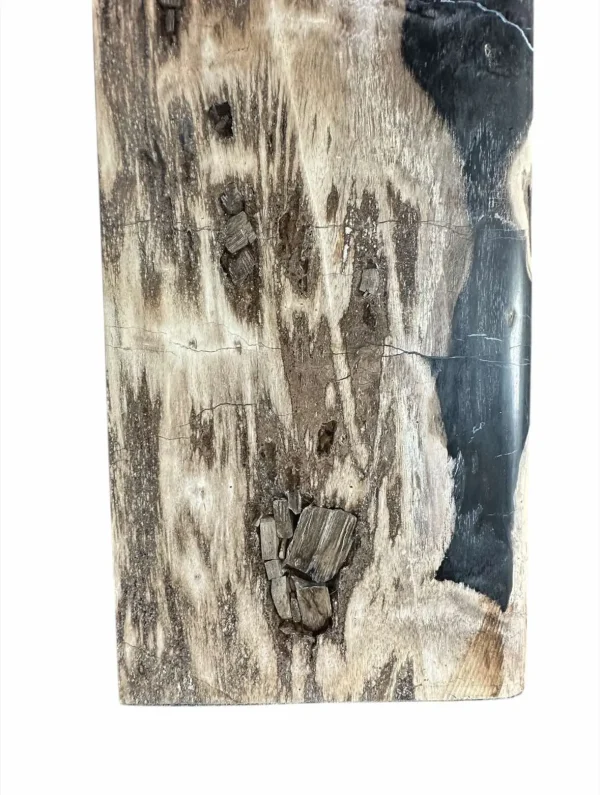 Măsuță de cafea din lemn pietrificat, nr. art. DT00241