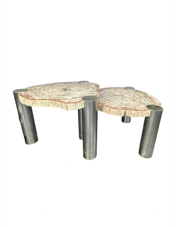 Măsuță de cafea din lemn pietrificat Art. Nr. DT00239