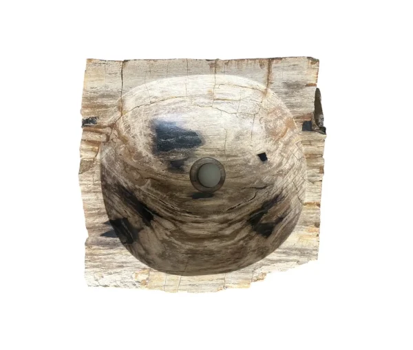 Chiuvetă din lemn pietrificat – artă naturală unică Nr. FS00257