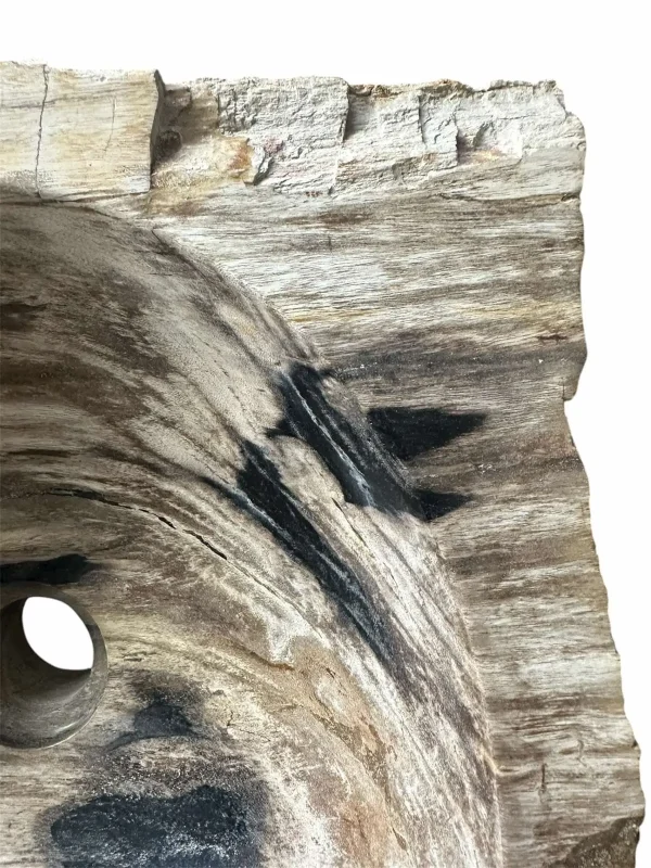 Chiuvetă din lemn pietrificat – artă naturală unică Nr. FS00257