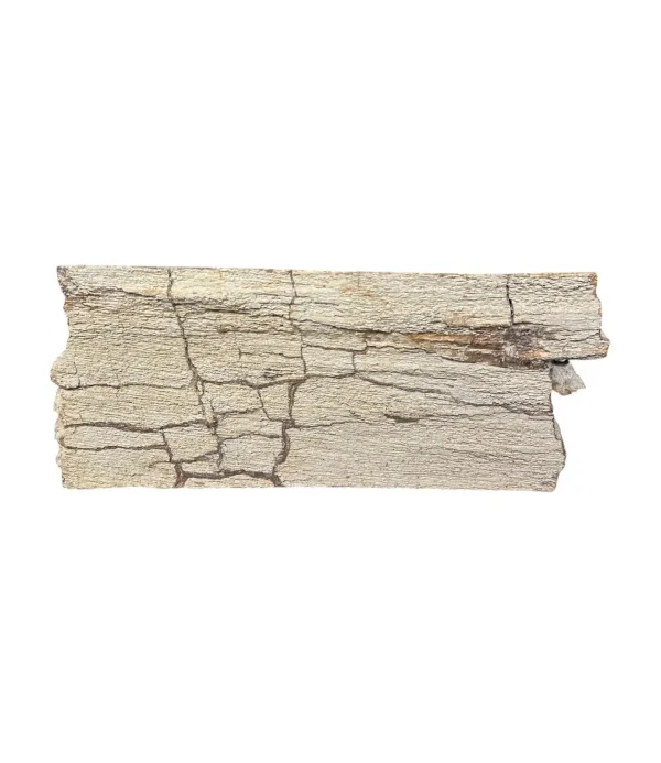 Chiuvetă din lemn pietrificat – artă naturală unică Nr. FS00257