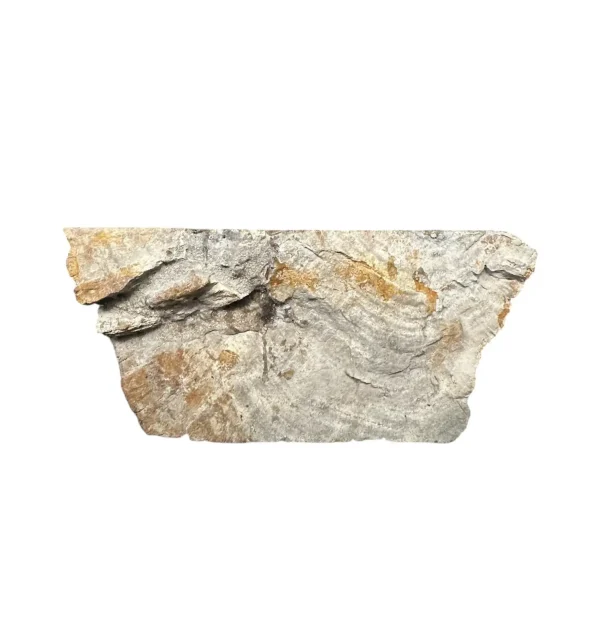Chiuvetă din lemn pietrificat – artă naturală unică Nr. FS00257
