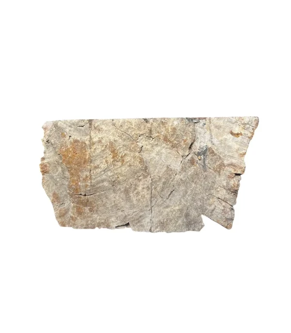 Chiuvetă din lemn pietrificat – artă naturală unică Nr. FS00257