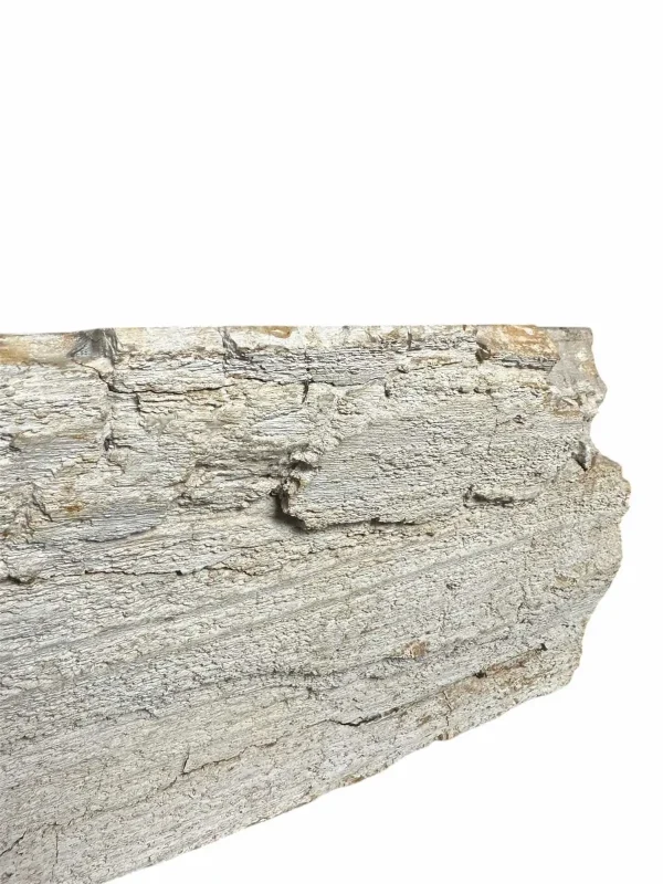 Chiuvetă din lemn pietrificat – artă naturală unică Nr. FS00257
