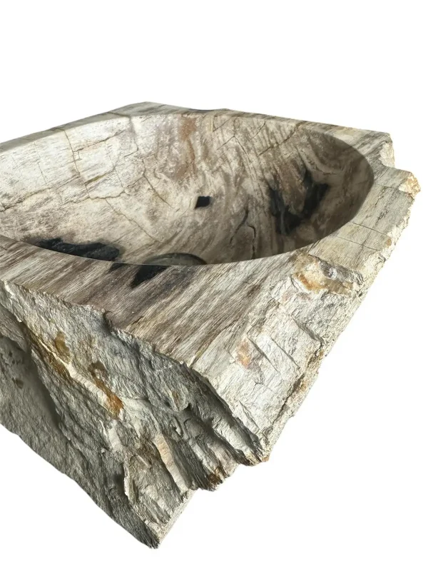Chiuvetă din lemn pietrificat – artă naturală unică Nr. FS00257