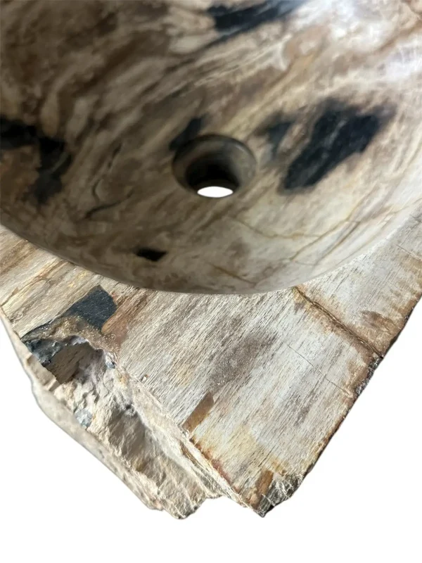 Chiuvetă din lemn pietrificat – artă naturală unică Nr. FS00257