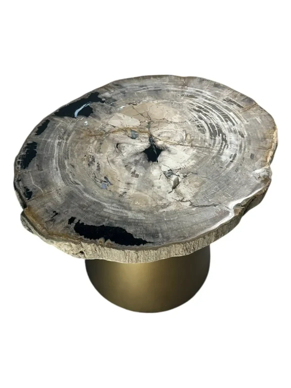 Masă de cafea din lemn pietrificat Art. Nr. DT00294