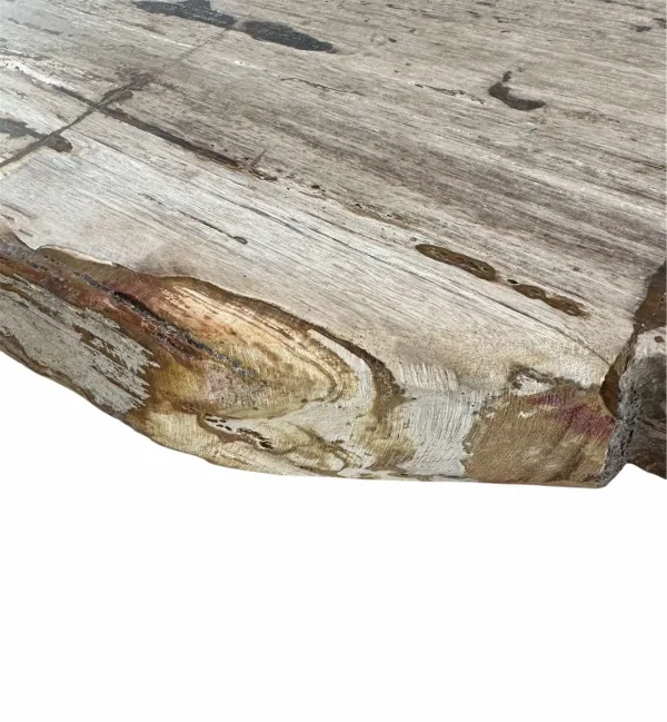 Masă de dining premium din lemn pietrificat – design natural unic Art. DNT00312  DNT00312