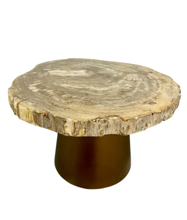 Măsuță de cafea din lemn pietrificat Art. Nr. DT00434