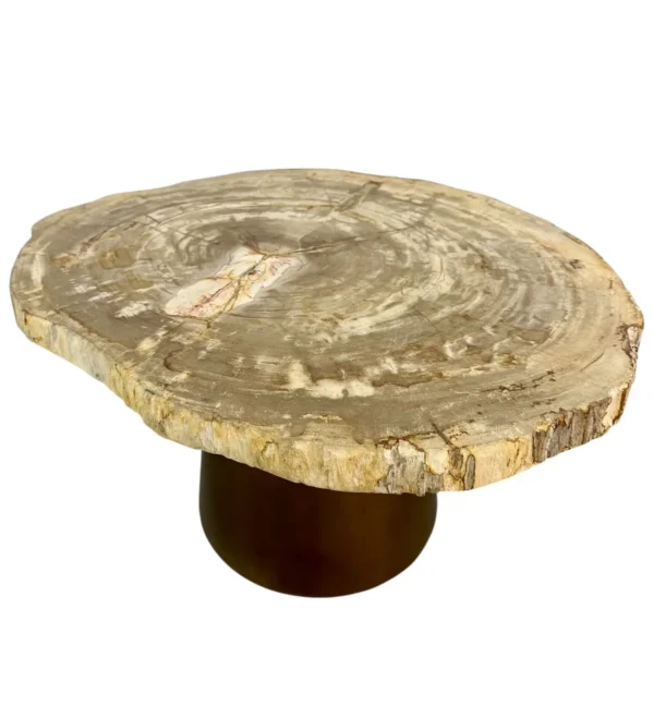 Măsuță de cafea din lemn pietrificat Art. Nr. DT00434