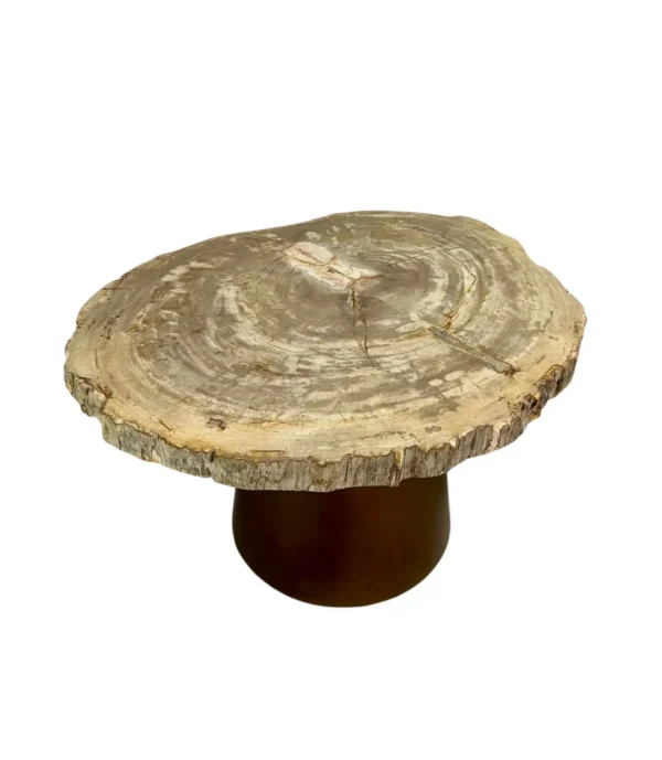 Măsuță de cafea din lemn pietrificat Art. Nr. DT00434