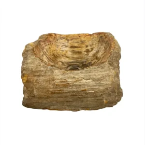 Chiuvetă din lemn pietrificat sculptată manual, cu exterior natural rustic și interior neted lustruit