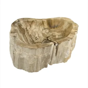 Chiuvetă din lemn pietrificat sculptată manual, cu exterior natural rustic și interior neted lustruit
