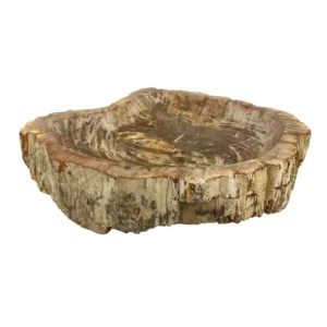 Chiuvetă din lemn pietrificat sculptată manual, cu exterior natural rustic și interior neted lustruit
