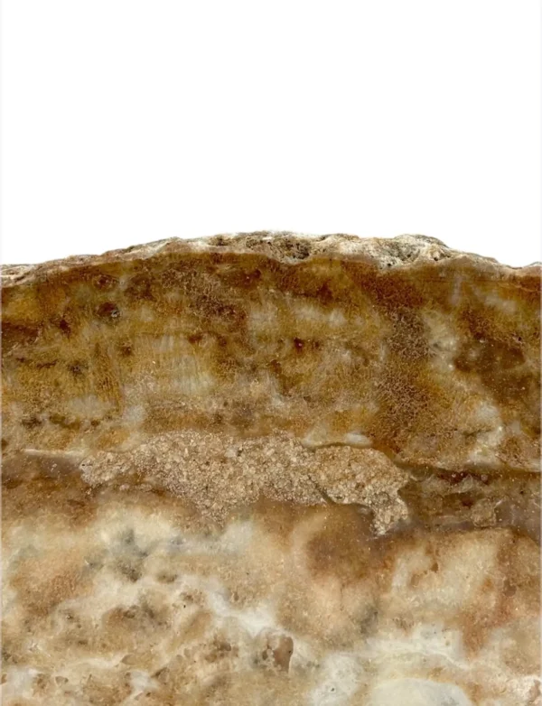 Chiuvetă lungă din onix – realizată manual, design natural | Art. Nr. OS00656